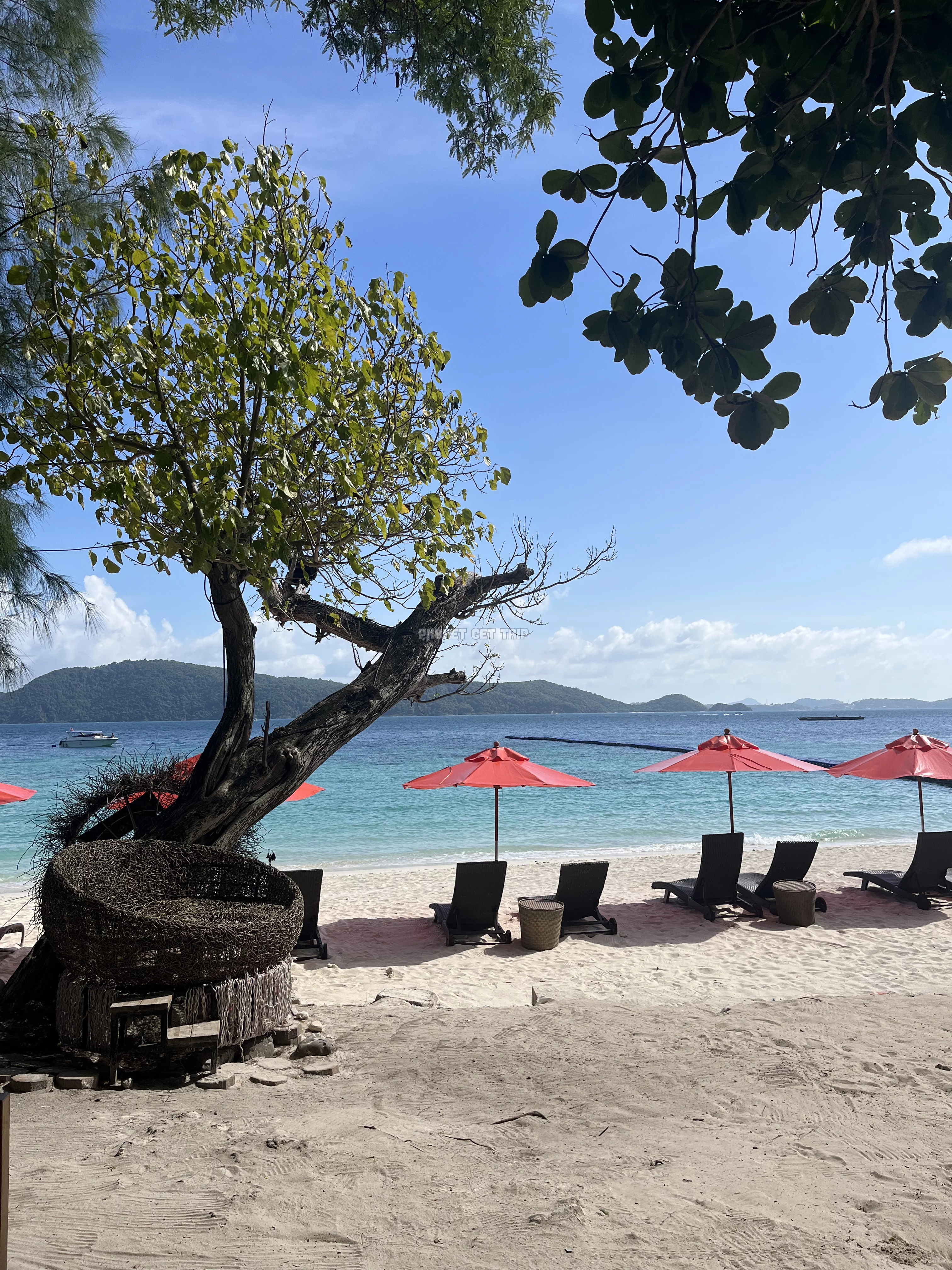 Рача + Корал