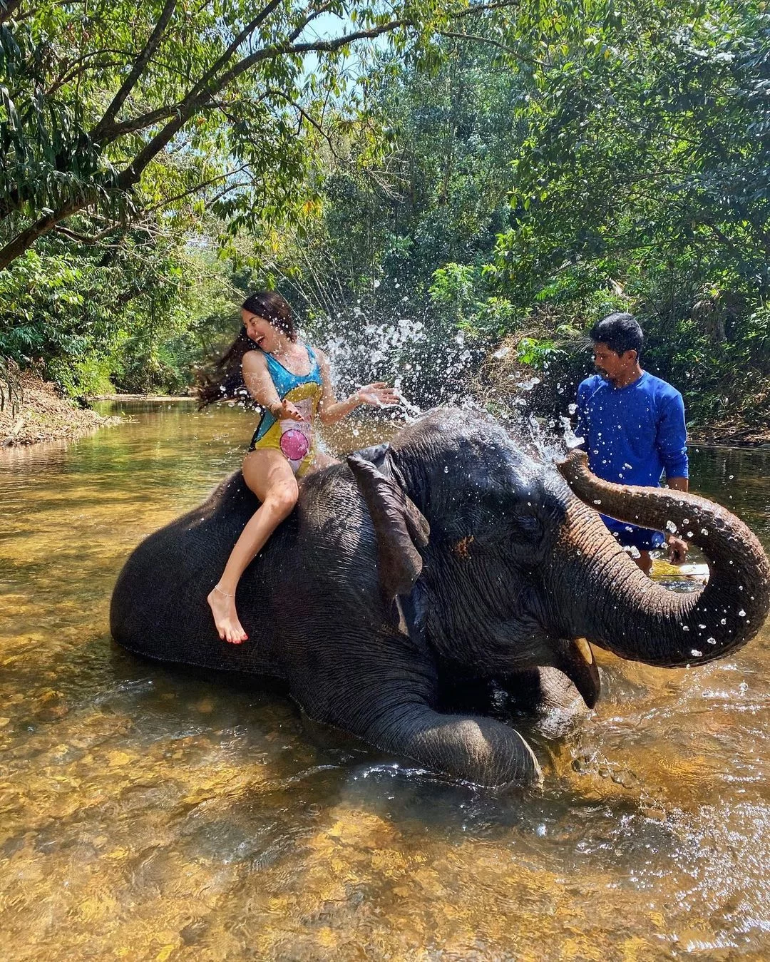 Аватар + cтеклянный мост + бамбуковые плоты