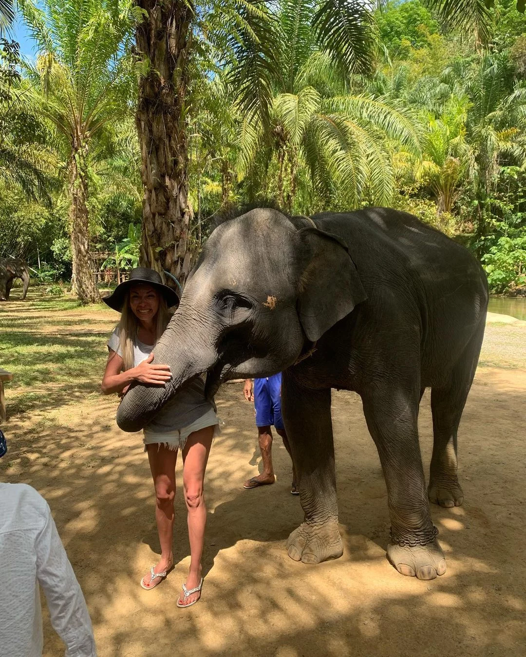 Аватар + cтеклянный мост + бамбуковые плоты