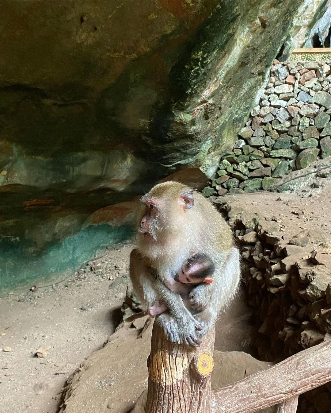 Аватар + cтеклянный мост + бамбуковые плоты