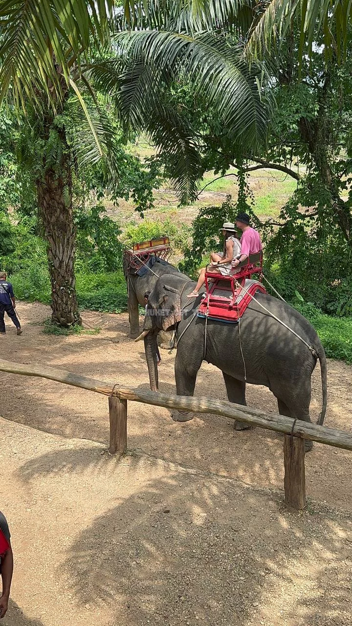 Као Лак + купание слонов из Као Лак