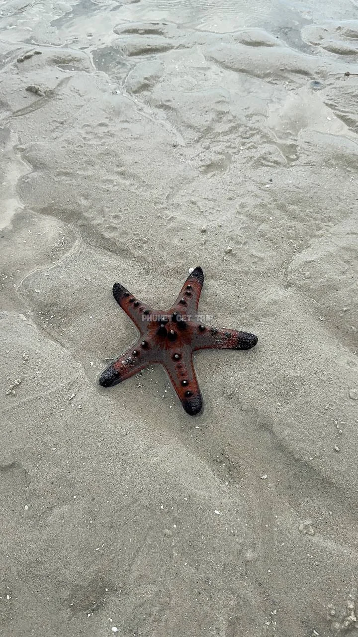 Острова Краби с Пхукета