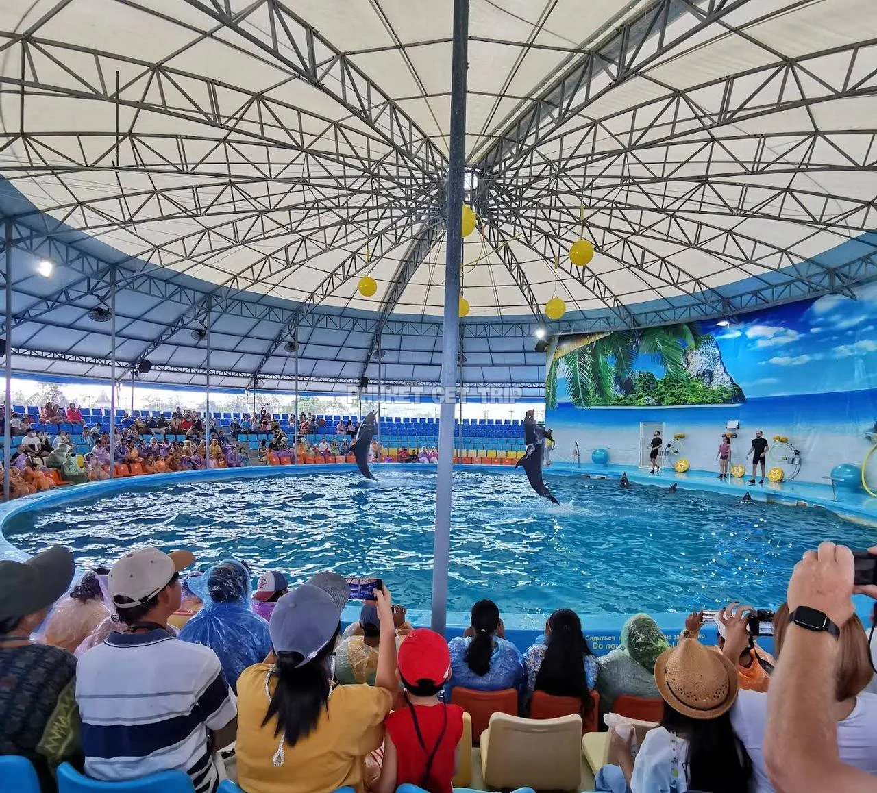 Дельфинарий Немо на Пхукете