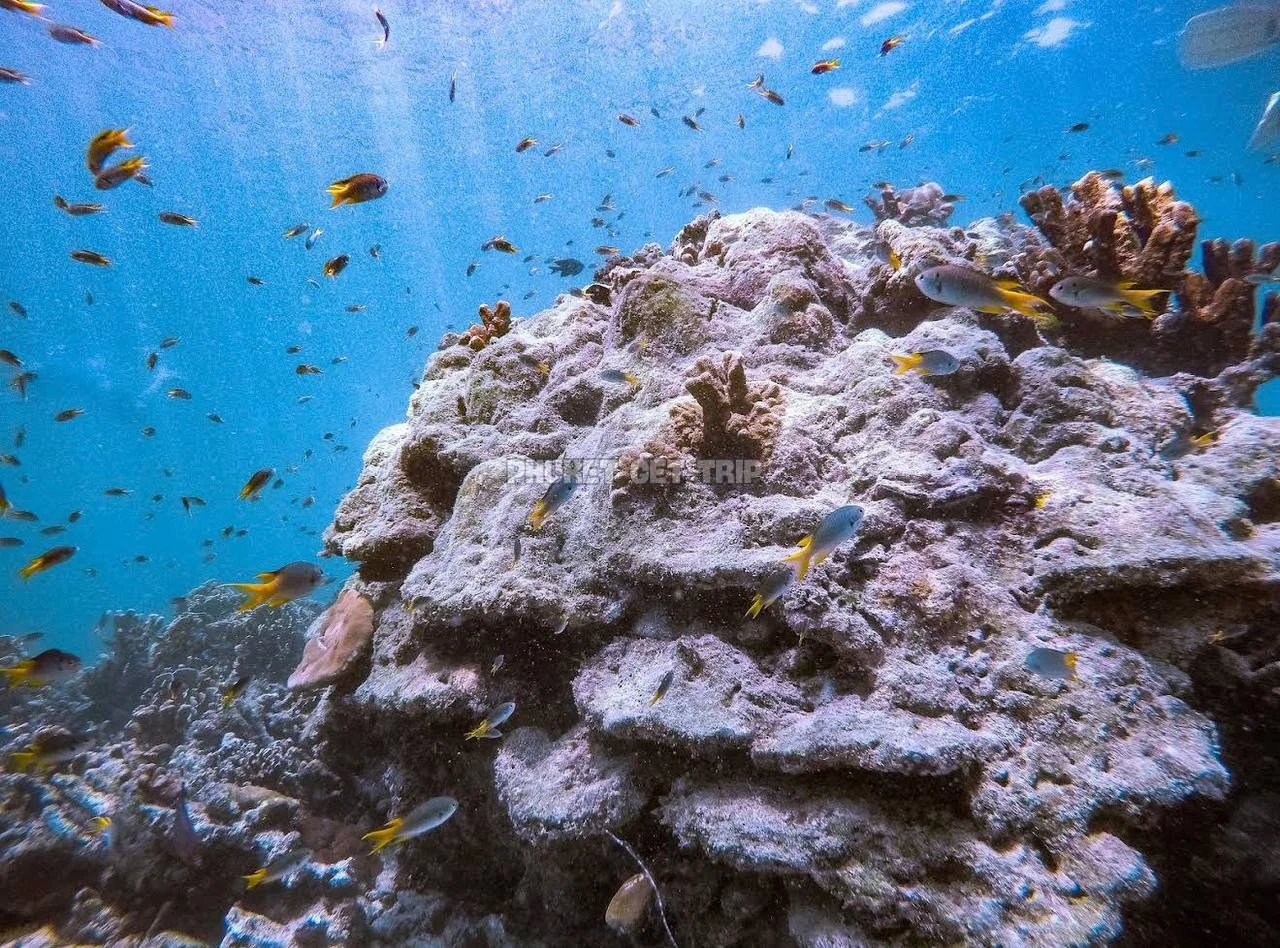 Пхи Пхи + Ко Рок  2 дня