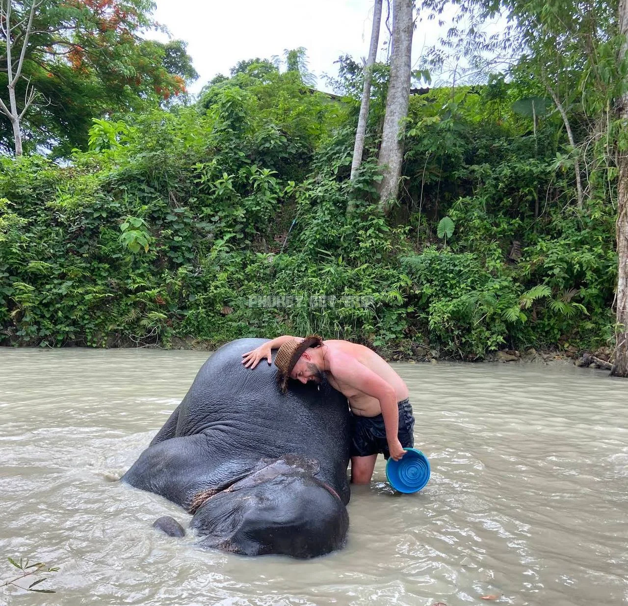 Заповедник слонов на Пхукете