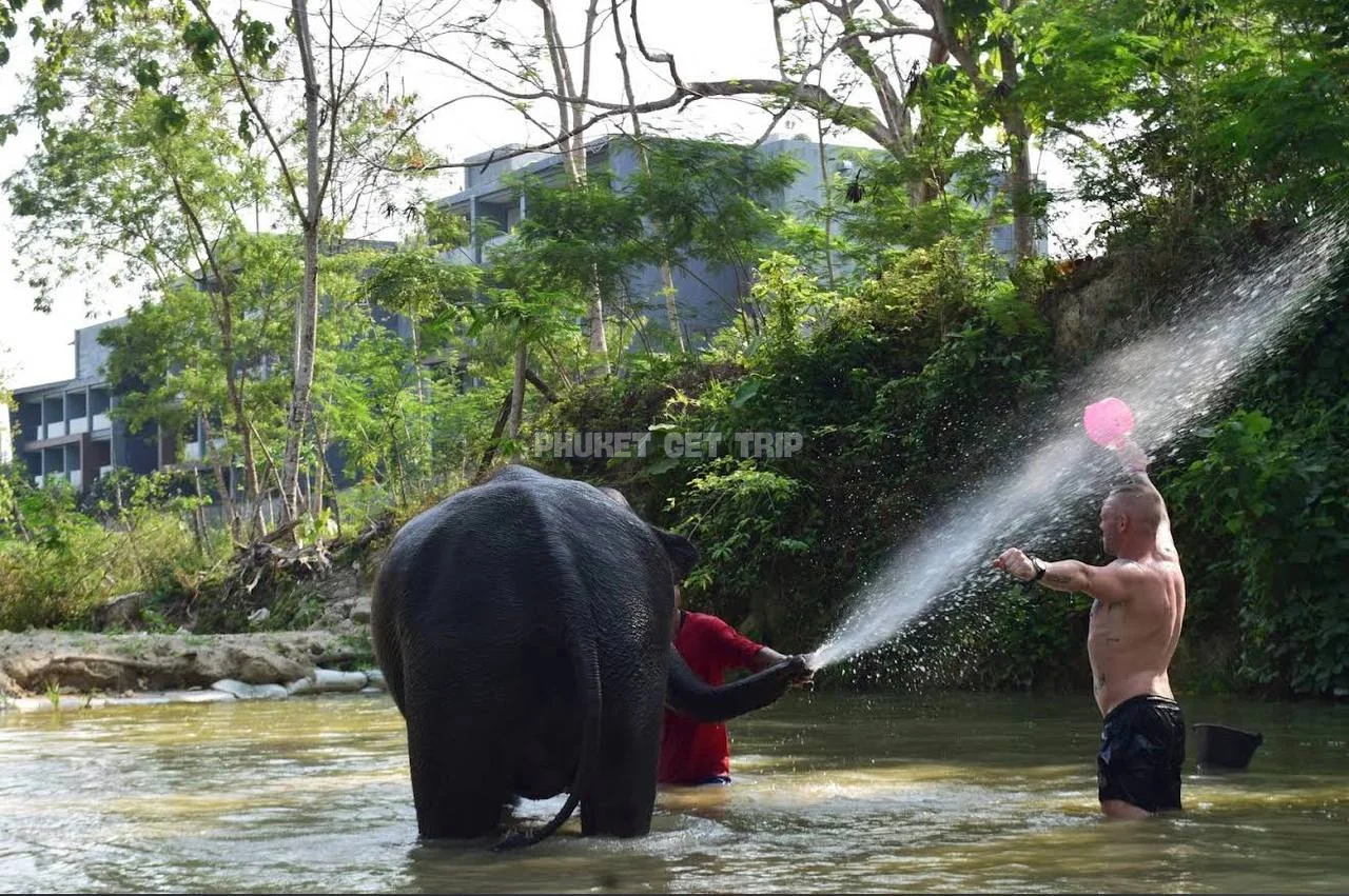Заповедник слонов на Пхукете