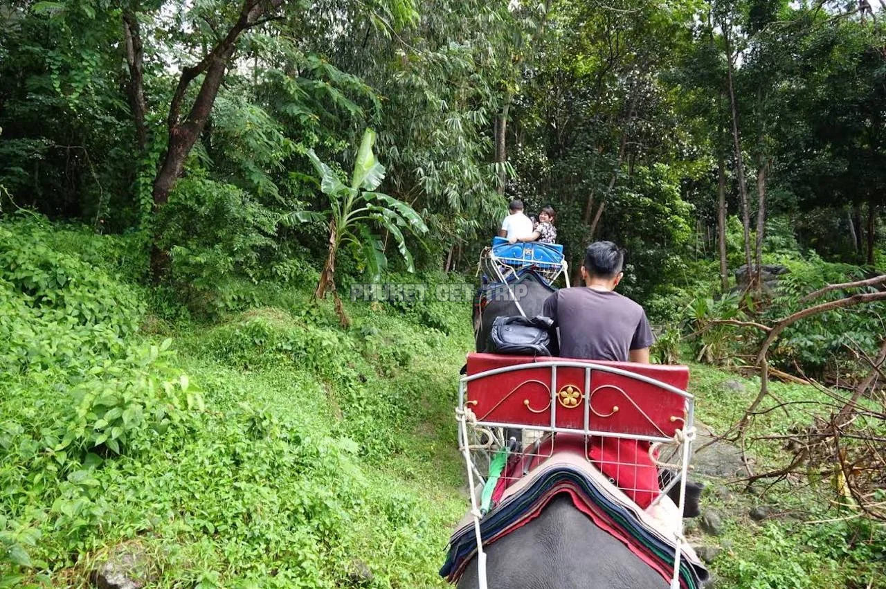 Катание на слонах на Пхукете