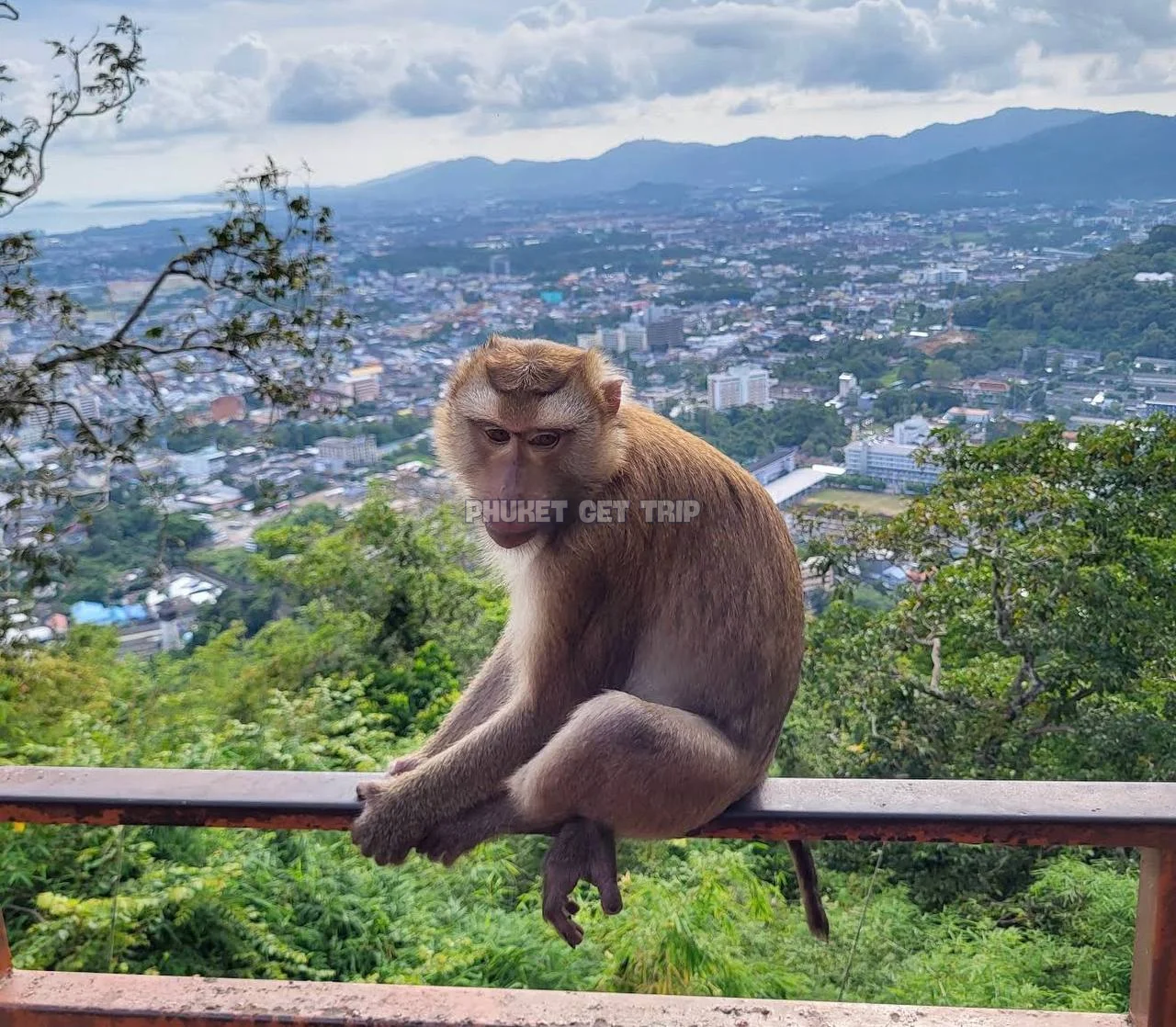 Пхукет Таун