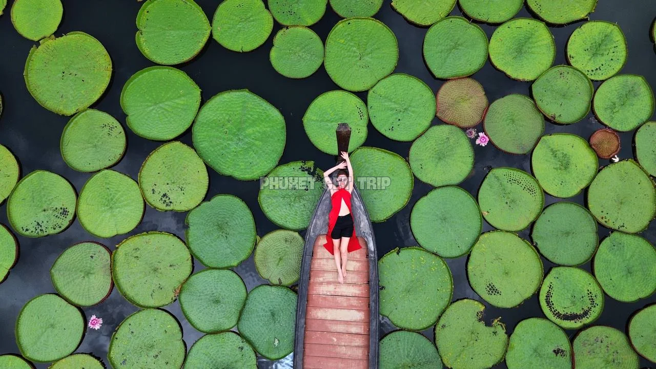 Аватар рассветное приключение