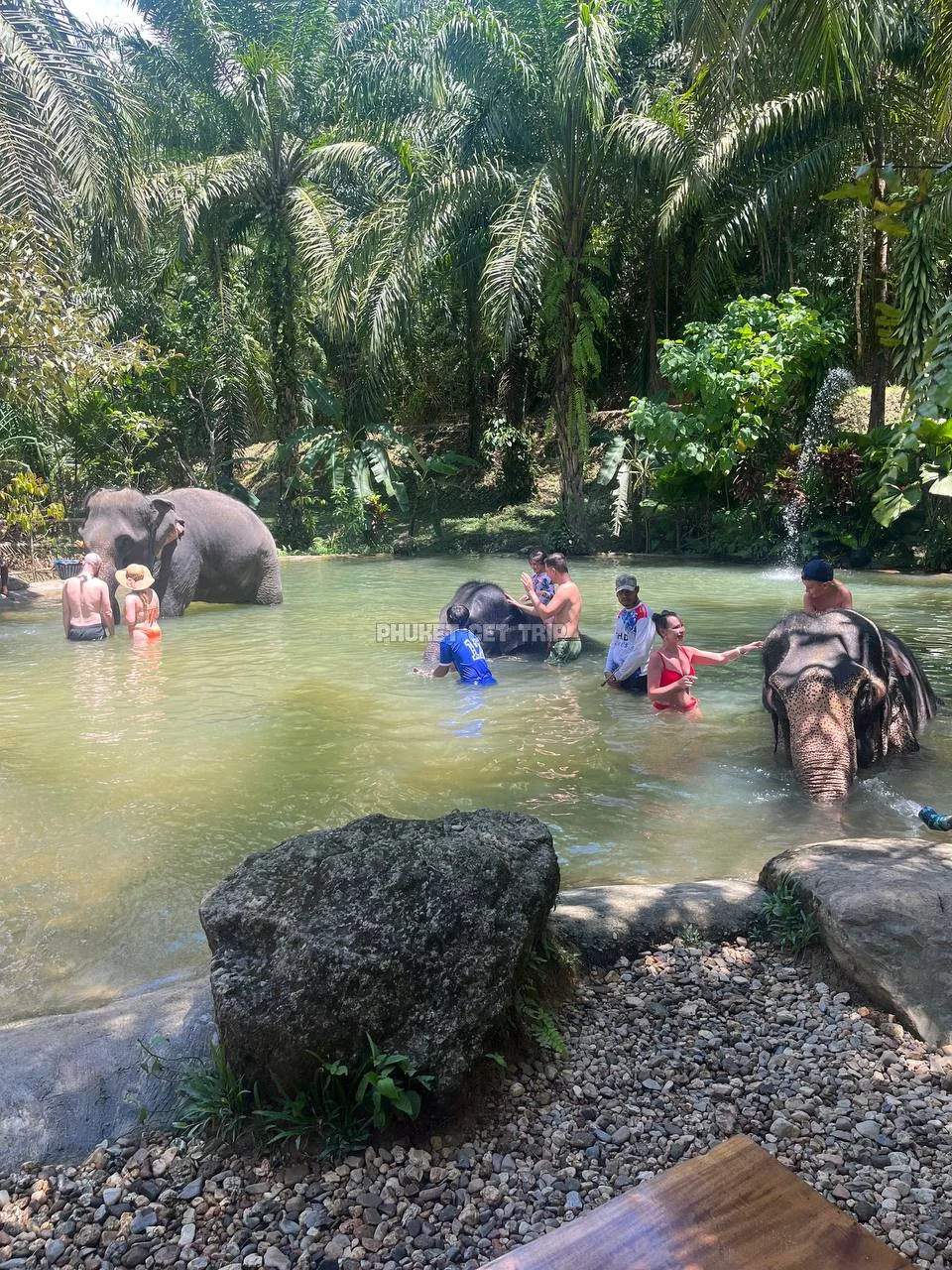 Као Лак + купание со слонов с Пхукета